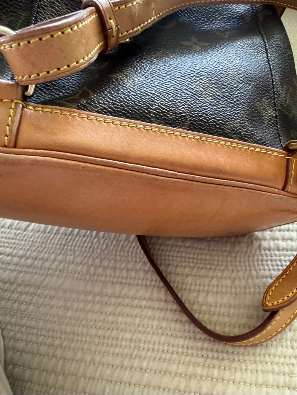 Louis Vuitton Monogram Drawstring Mini Backpack in Brown and Tan Leather Trim